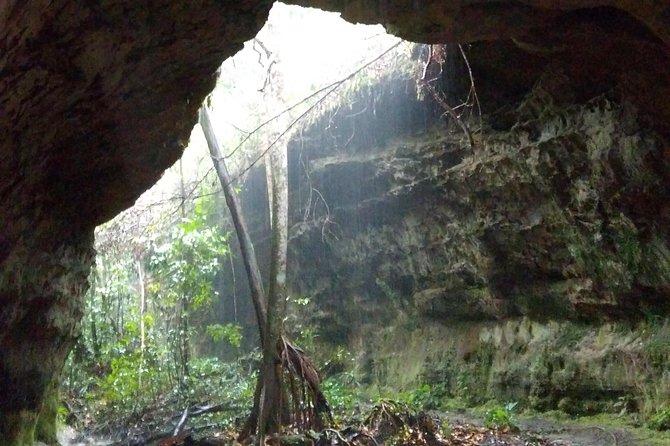 Amazon Rainforest Tour, Trails, Jungle, Caves and Waterfalls - Why this private Manaus rainforest tour works