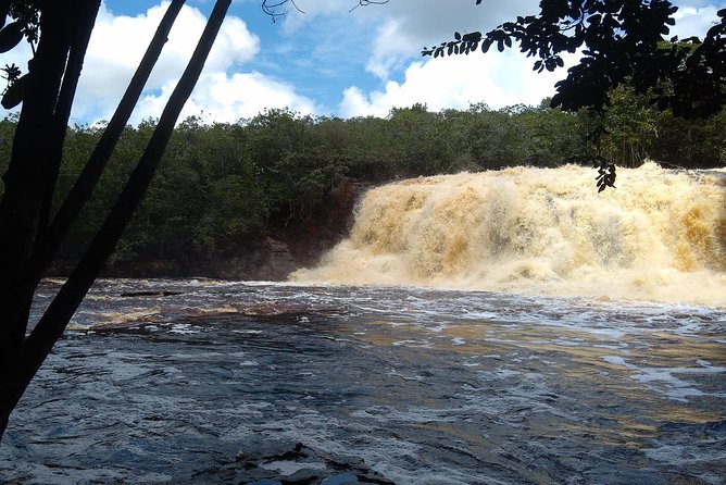 Amazon Rainforest Tour, Trails, Jungle, Caves and Waterfalls - The drive from Manaus to President Figueiredo