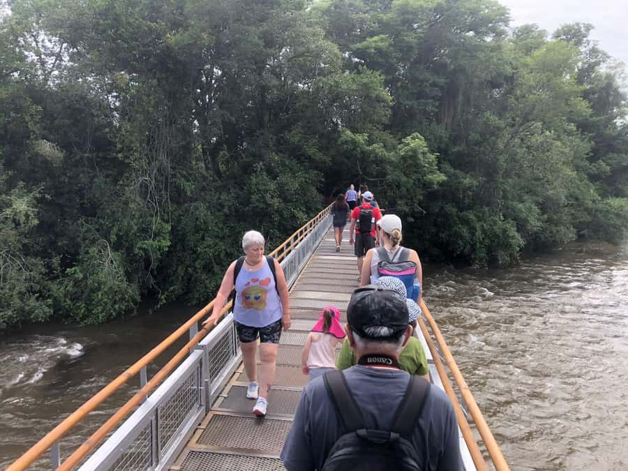 Argentinian Falls Tour + Optional Boat Ride (Private) - Crossing the border without the usual guesswork