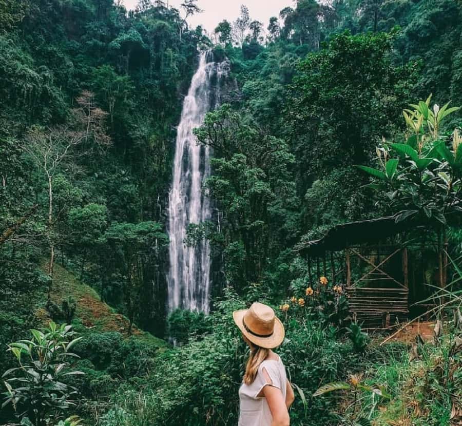 Arusha: Materuni Waterfalls, Coffee, and Hotsprings Tour - Coffee in Materuni turns a drink into an activity
