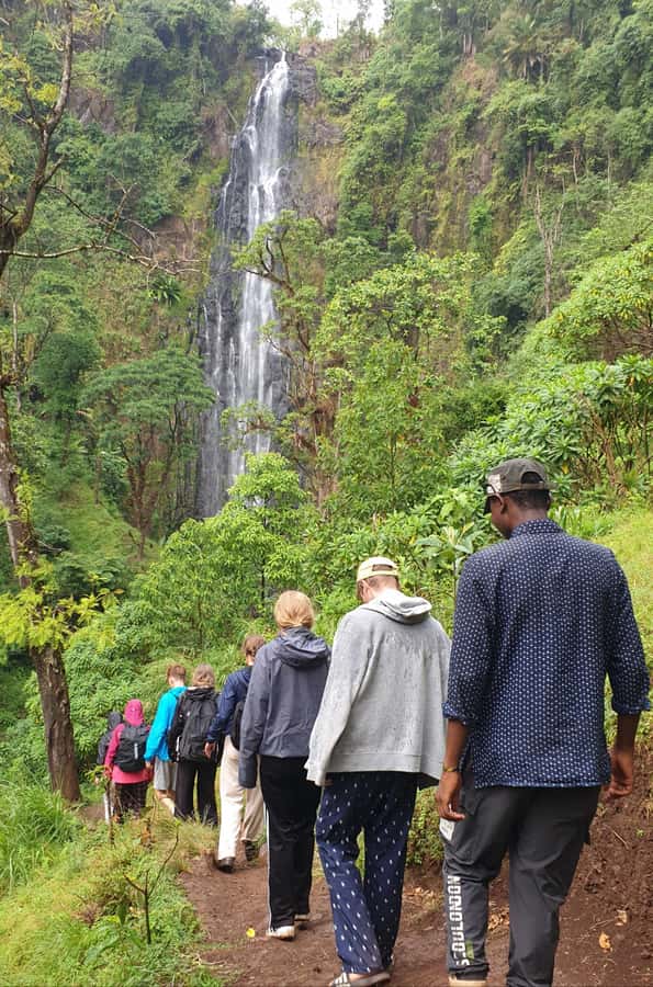 Arusha: Materuni Waterfalls, Hot Springs and/or Coffee Tour - Key points to know before booking