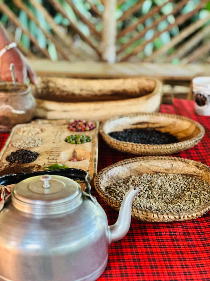 Arusha: Materuni Waterfalls, Hot Springs and/or Coffee Tour - The coffee lesson, from beans to a fresh cup