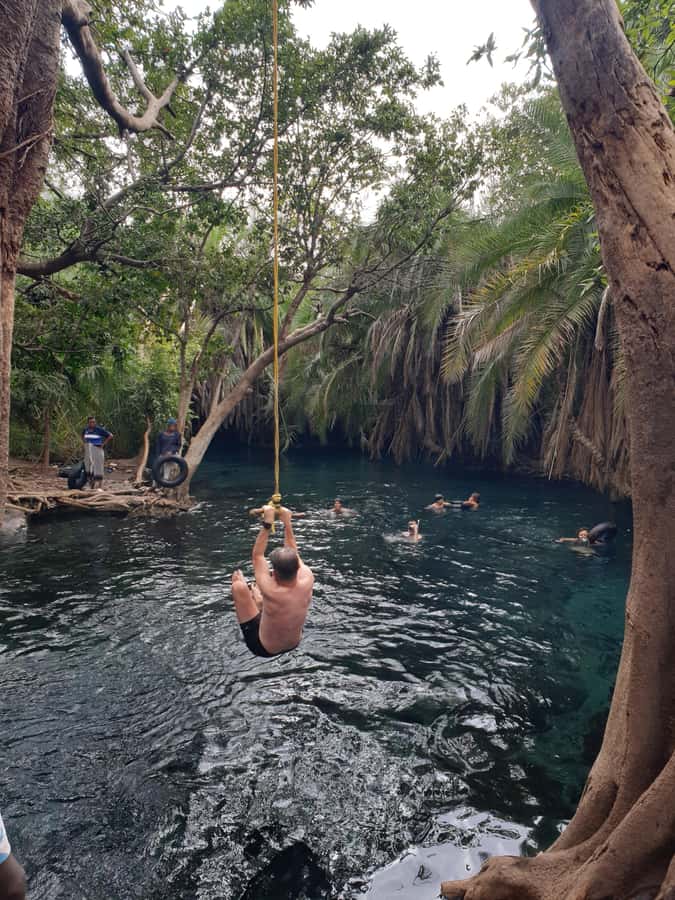 Arusha: Materuni Waterfalls, Hot Springs and/or Coffee Tour - A Tanzanian lunch instead of a hotel buffet