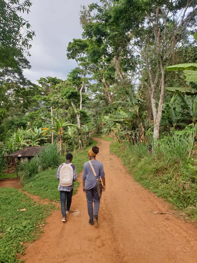 Arusha: Materuni Waterfalls, Hot Springs and/or Coffee Tour - Guides, driving, and the practical side of the day