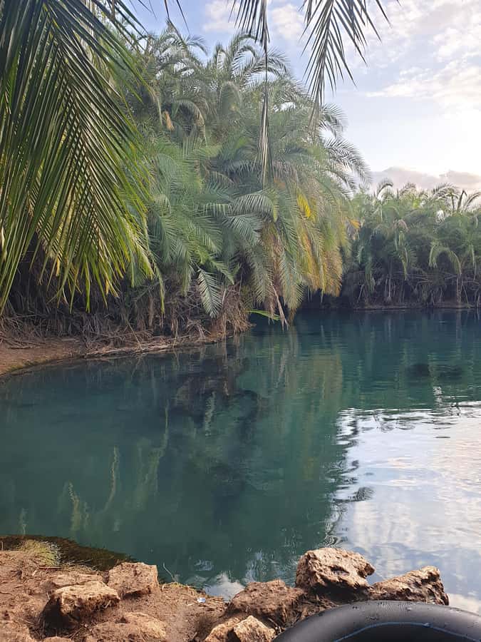 Arusha: Materuni Waterfalls, Hot Springs and/or Coffee Tour - Is $53 a fair price?