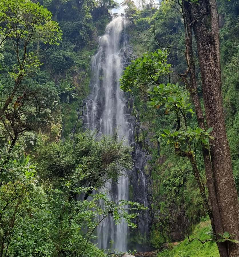 Arusha: Materuni Waterfalls, Hot Springs and/or Coffee Tour - Reaching Materuni, the last village before the park