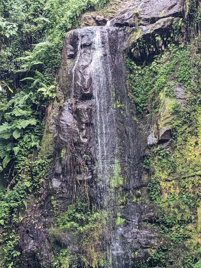 Arusha: Napuru Waterfalls Guided Hike - Why Napuru Waterfalls makes a good Arusha side trip