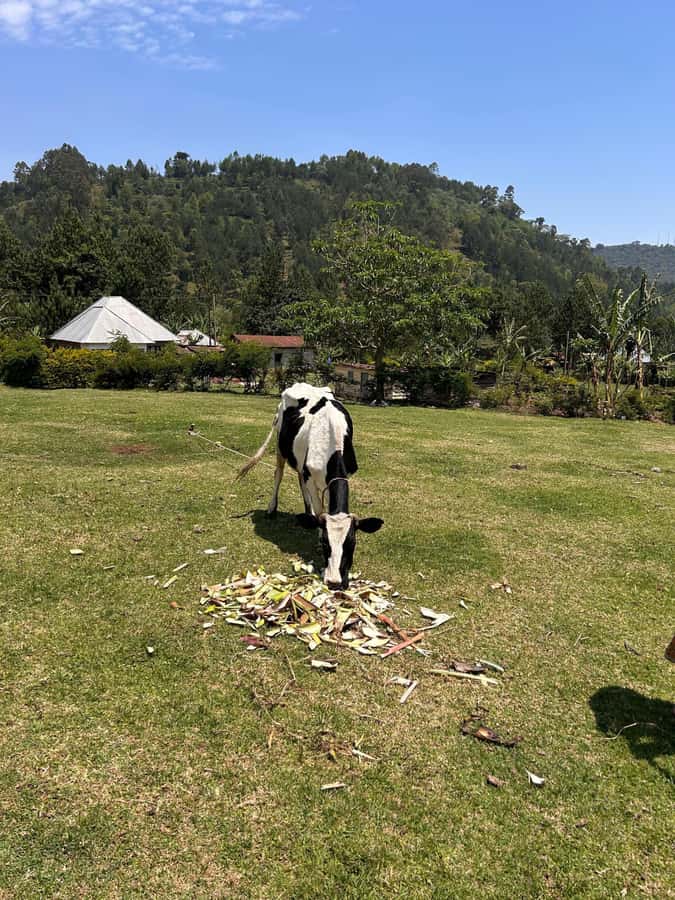 Arusha: Napuru Waterfalls Guided Hike - Walking toward Mount Meru Forest Reserve