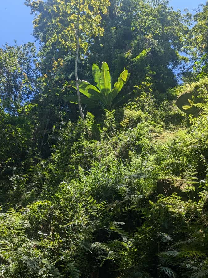 Arusha: Napuru Waterfalls Guided Hike - What to bring and how to prepare