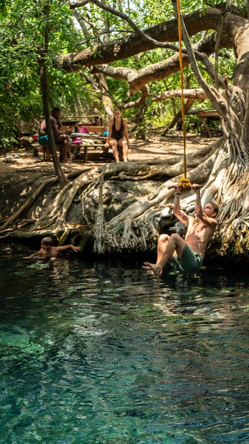 Arusha or Moshi : Hot Spring, Waterfall & Coffee Farm Tour - Relaxing at Chemka Hot Springs