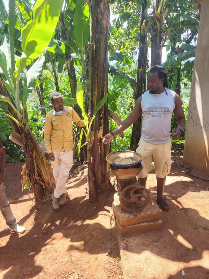 Arusha or Moshi : Hot Spring, Waterfall & Coffee Farm Tour - Should you book the Materuni and Chemka combination?