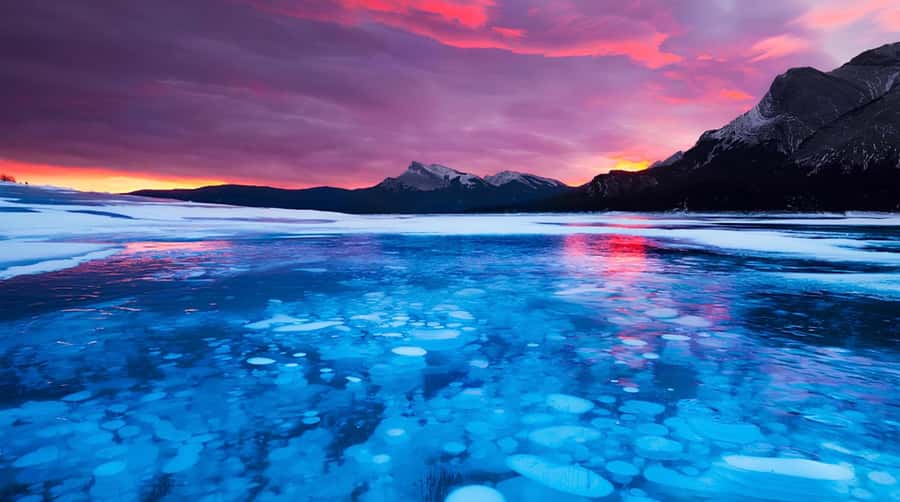 Athabasca Falls/Abraham,Sunwapta Falls, Icefield, Peyto Lake - Abraham Lake and the winter ice bubbles
