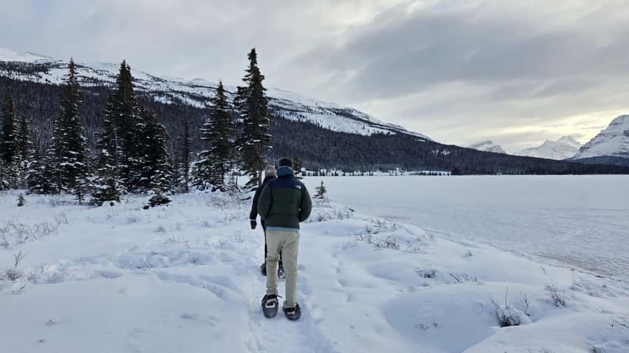 Athabasca Falls/Abraham,Sunwapta Falls, Icefield, Peyto Lake - A long road day with a human guide