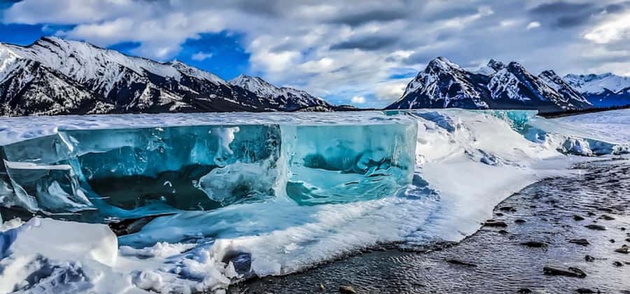 Athabasca Falls/Abraham,Sunwapta Falls, Icefield, Peyto Lake - Starting from Calgary, Canmore, or Banff