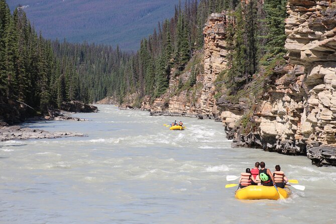 Athabasca Falls Run - What the $95.03 price covers