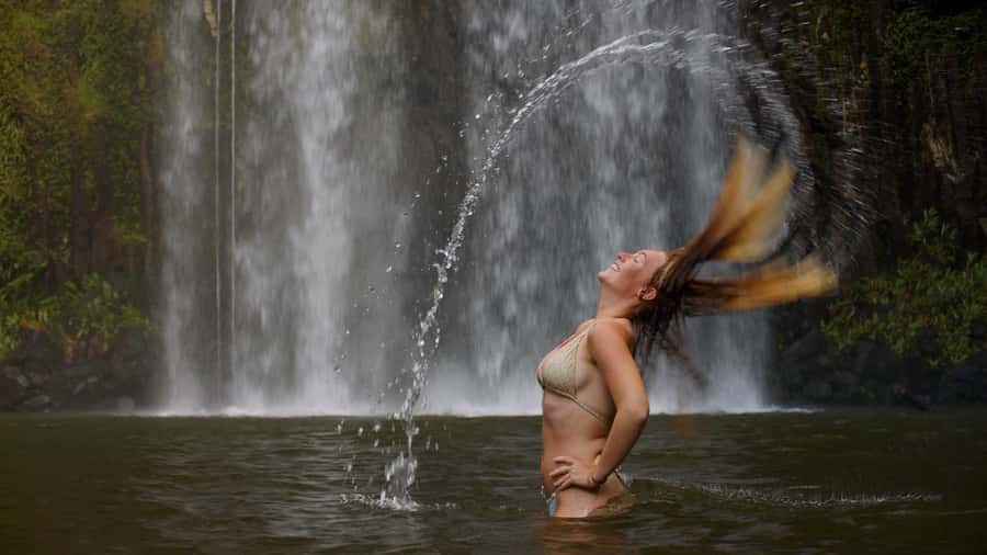 Atherton Tablelands: Lakes, Waterfalls, Rainforest Day Tour - Why this Cairns day trip works