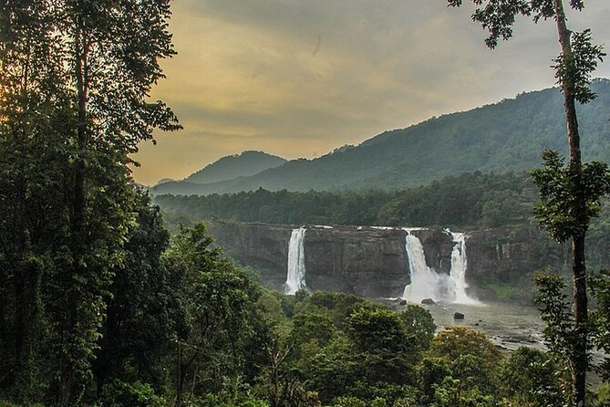 Athirappilly & Vazhachal Waterfalls Private Day Tour from Kochi - Timing, crowds, and what to pack