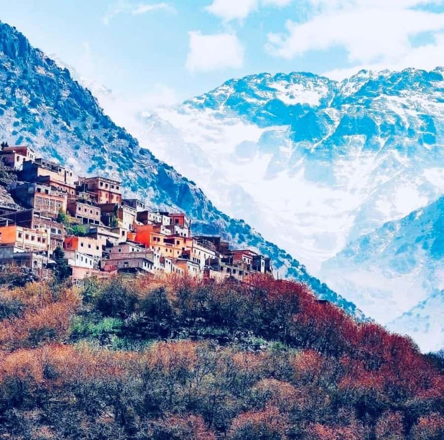 Atlas Mountain & Three Valleys Waterfalls & Desert Day Trip - At a glance