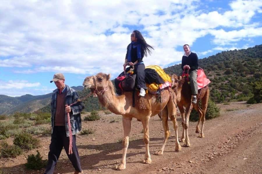 Atlas Mountain & Three Valleys Waterfalls & Desert Day Trip - Booking flexibility and final decision