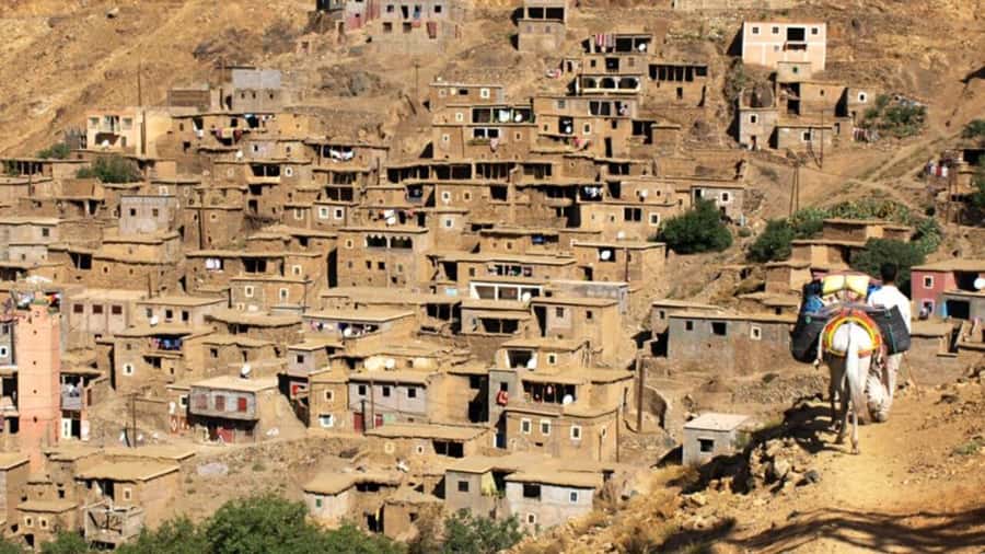 Atlas Mountain & Three Valleys Waterfalls & Desert Day Trip - The camel ride and the first taste of rural Morocco