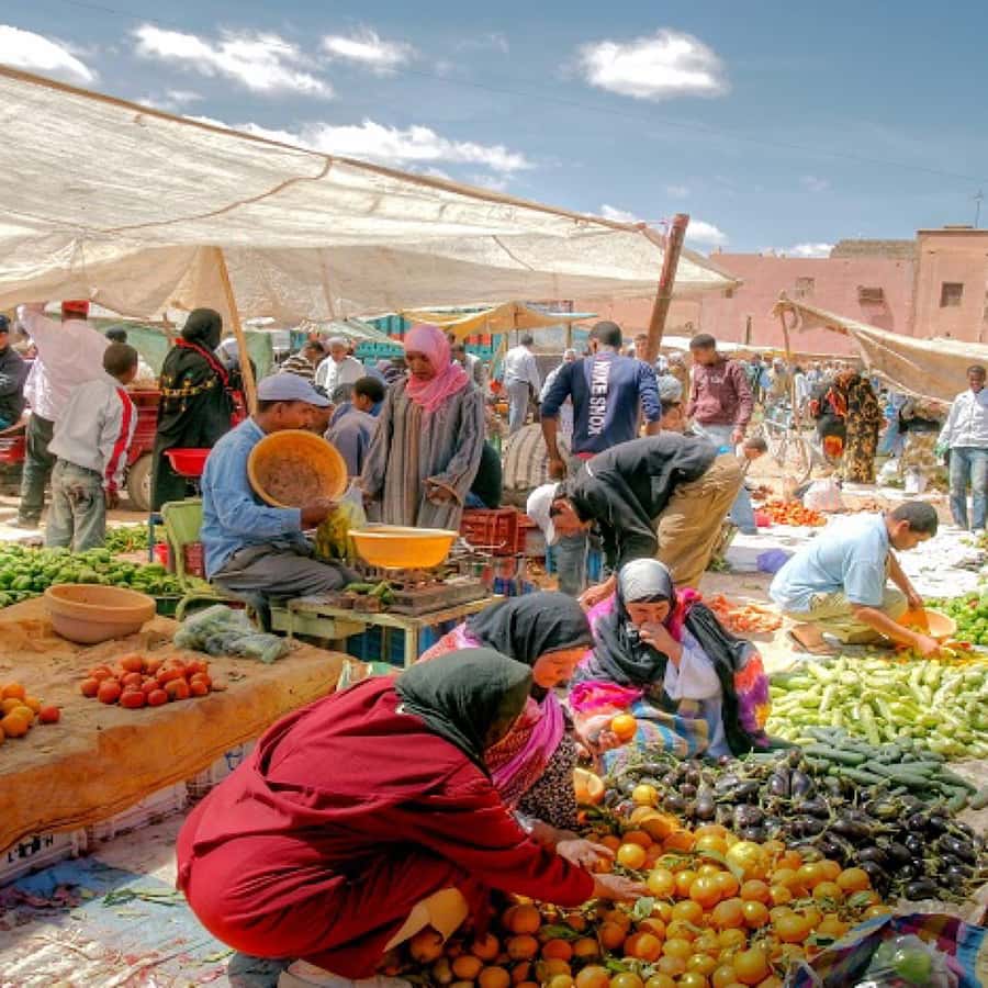 Atlas Mountains and 3 Valleys & Waterfalls & Desert Agafay - Should you book this Atlas Mountains and Agafay trip?
