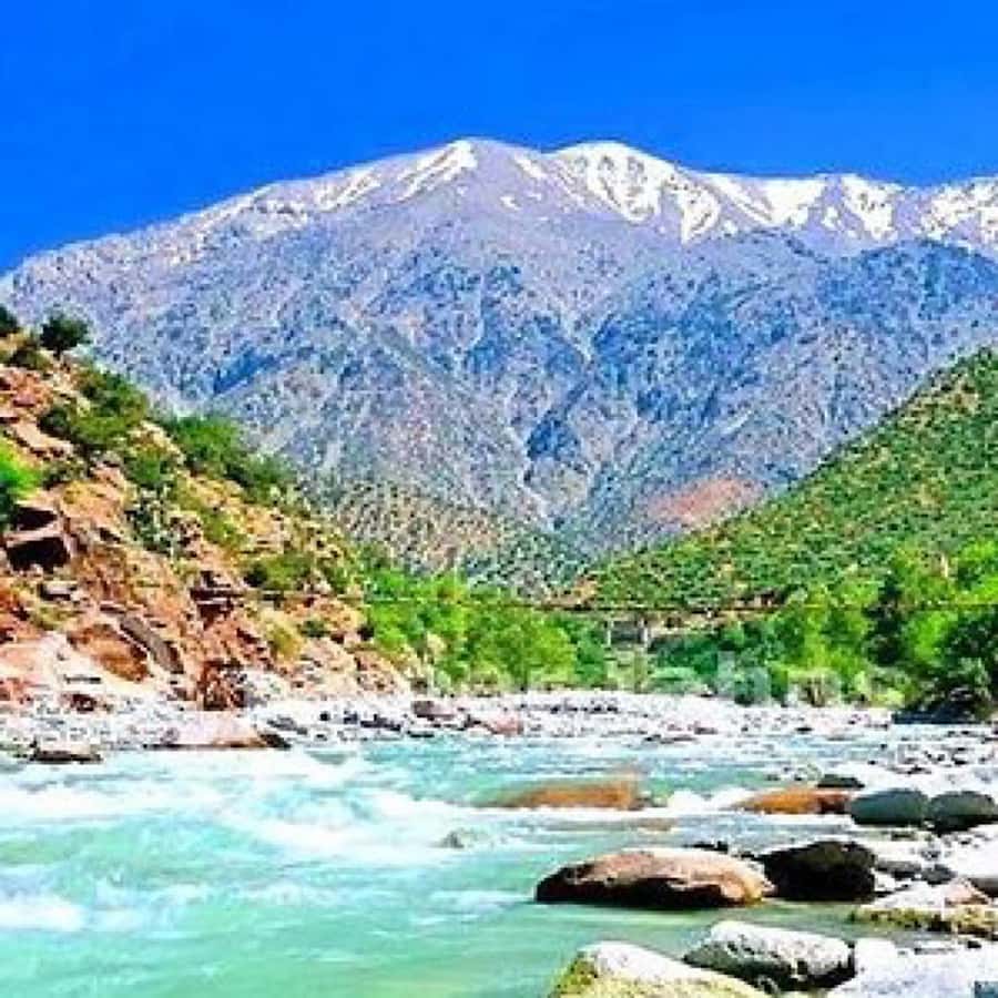 Atlas Mountains and 3 Valleys & Waterfalls & Desert Agafay - Tea, family life, and the Kik Plateau