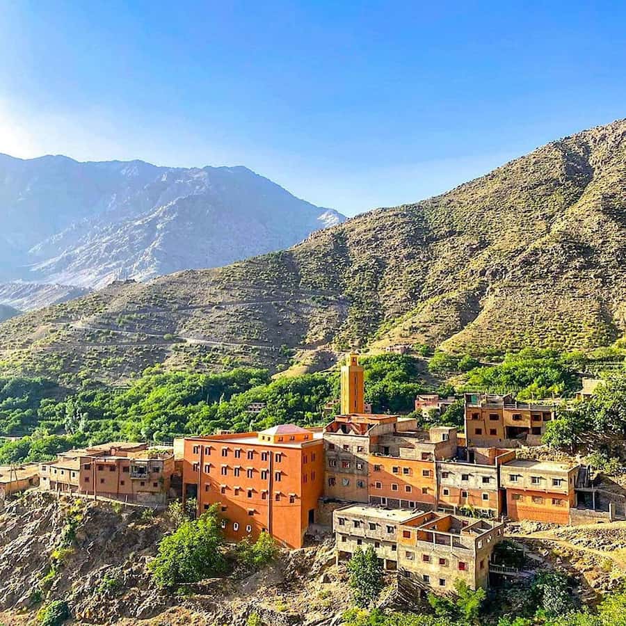 Atlas Mountains and 3 Valleys & Waterfalls & Desert Agafay - Timing, comfort, and who should book