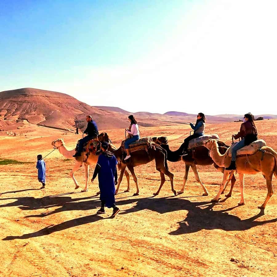 Atlas mountains and Berber villages & waterfall & camel ride - Key points to know before booking