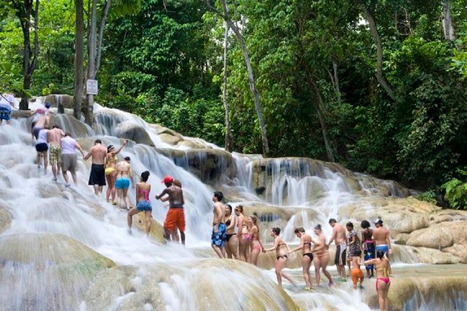 ATV, Horseback Ride, Zipline, Falls Climb + Lunch from Ocho Rios - Ziplining near the waterfall