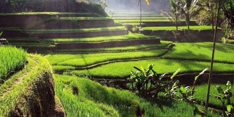 Bali: 3 Waterfalls and Tegalalang Rice Terrace Private Tour - Kanto Lampo Waterfall: rocks, shallow water, and photographs