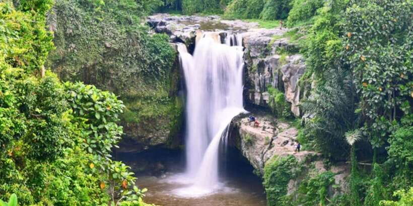 Bali: ATV Gorilla Cave, Ubud Monkey Forest, & Waterfall Tour - Should you book this ATV, monkey, and waterfall tour?