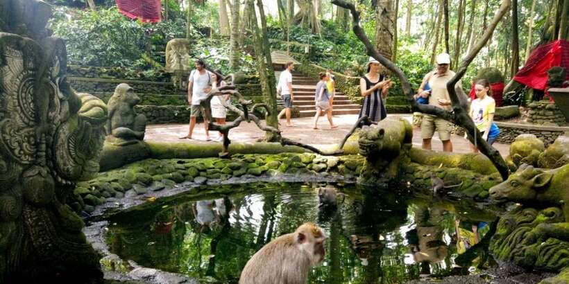 Bali: ATV Gorilla Cave, Ubud Monkey Forest, & Waterfall Tour - What the $53 price covers