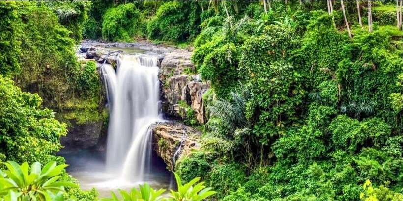 Bali: Bali Swing, Monkey Forest, Rice Terrace, Waterfall - Ending at Tegenungan Waterfall