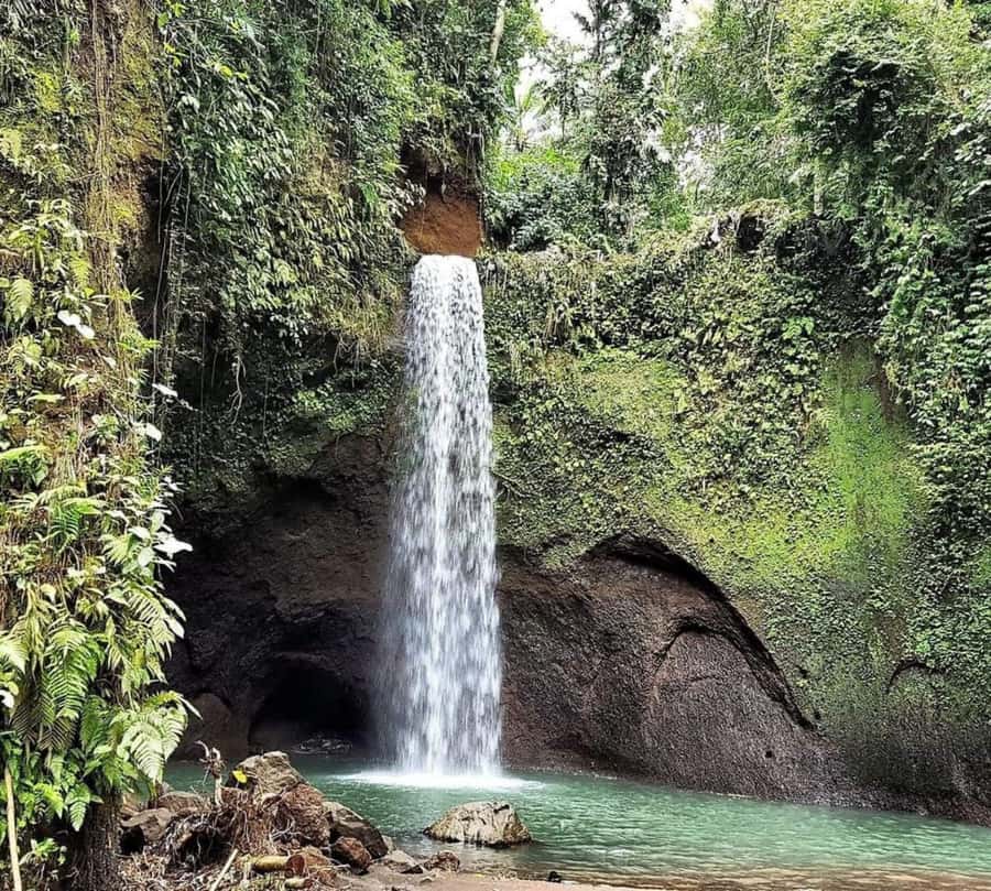 Bali: Best of Ubud Waterfalls Tour - The driver can make or break the day