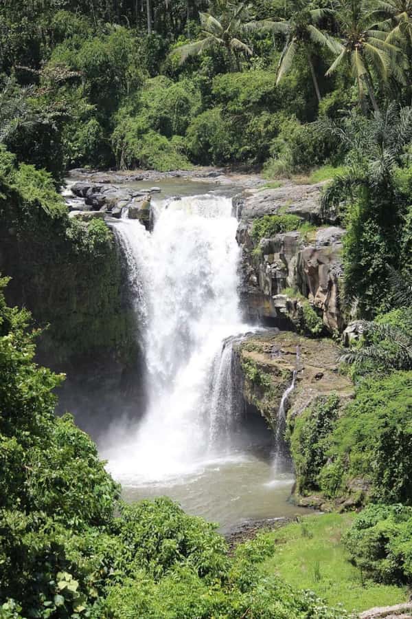 Bali: Best of Ubud Waterfalls Tour - Tegenungan Waterfall starts the morning with scale