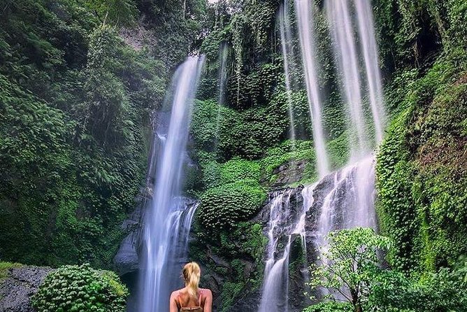 Bali Best Waterfalls Tour : Sekumpul and Banyumala - A private drive through northern Bali