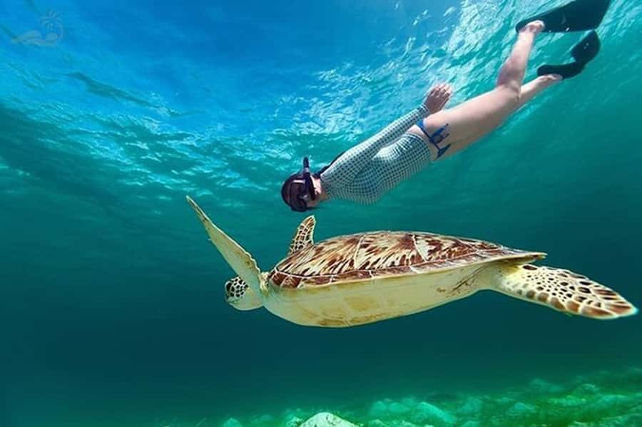 Bali: Blue Lagoon Snorkel, Kanto Lampo & Tibumana Waterfalls - Blue Lagoon starts the day with reef life