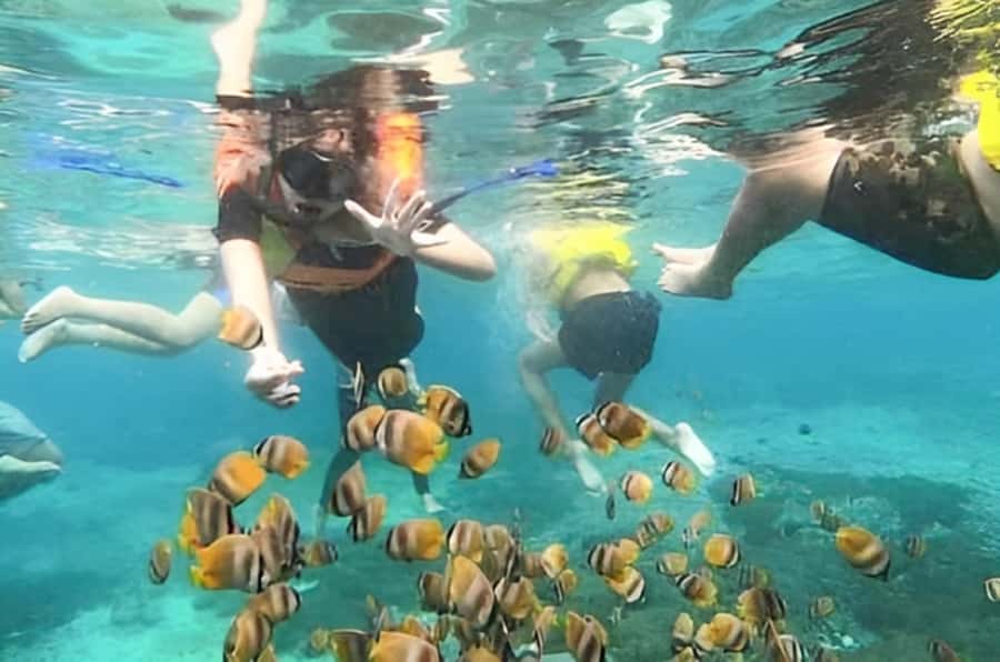 Bali: Blue Lagoon Snorkel, Kanto Lampo & Tibumana Waterfalls - Transport determines how comfortable the day feels