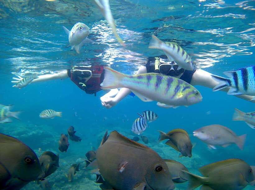 Bali: Blue Lagoon Snorkeling & Waterfall Tour - Lunch by the beach gives the day a useful pause