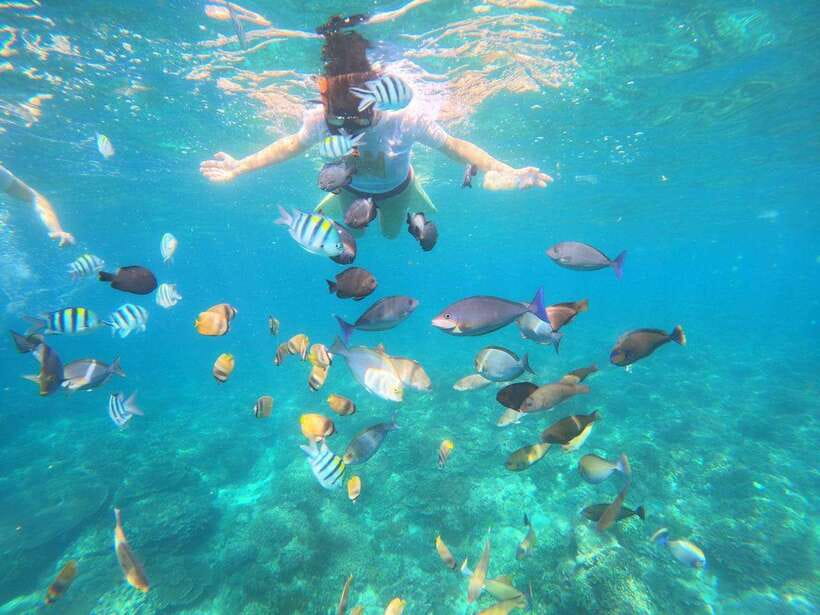 Bali: Blue Lagoon Snorkeling & Waterfall Tour - Coffee, Luwak, and the final tasting