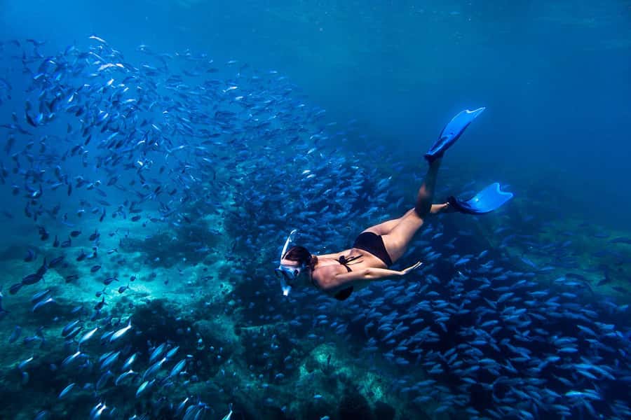 Bali: Blue Lagoon Snorkeling & Waterfall Tour with Lunch - Two hours over Bali’s most accessible reefs
