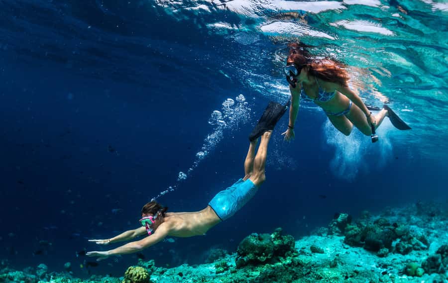 Bali: Blue Lagoon Snorkeling & Waterfall Tour with Lunch - Indonesian lunch at D’Steel Coffee Kitchen