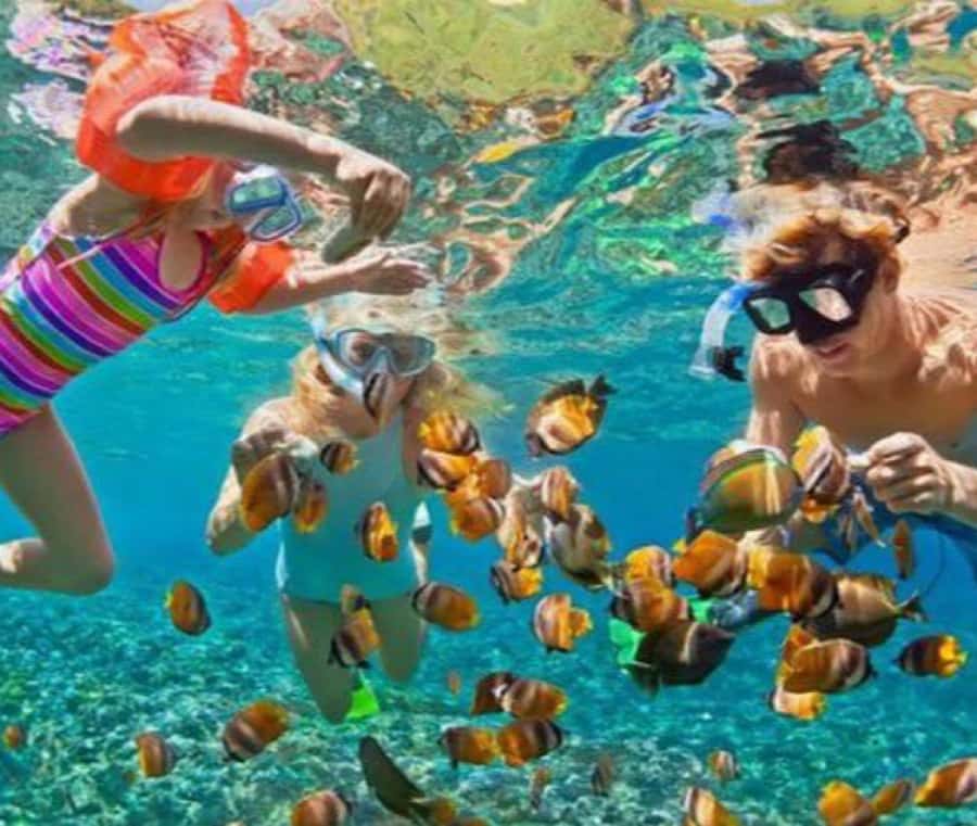 Bali: Blue Lagoon Snorkeling & Waterfall Tour with Lunch - Who will enjoy this most