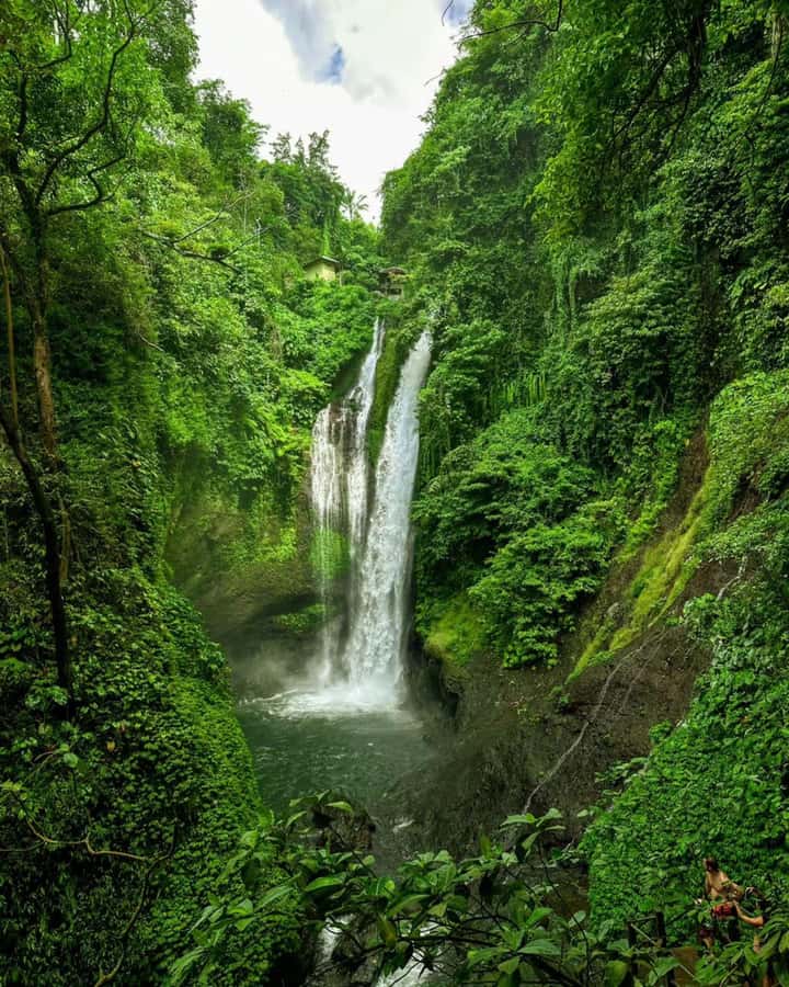 Bali: Cliff Jumping Gitgit Waterfalls & Rice Terrace Tour - What the private guide adds