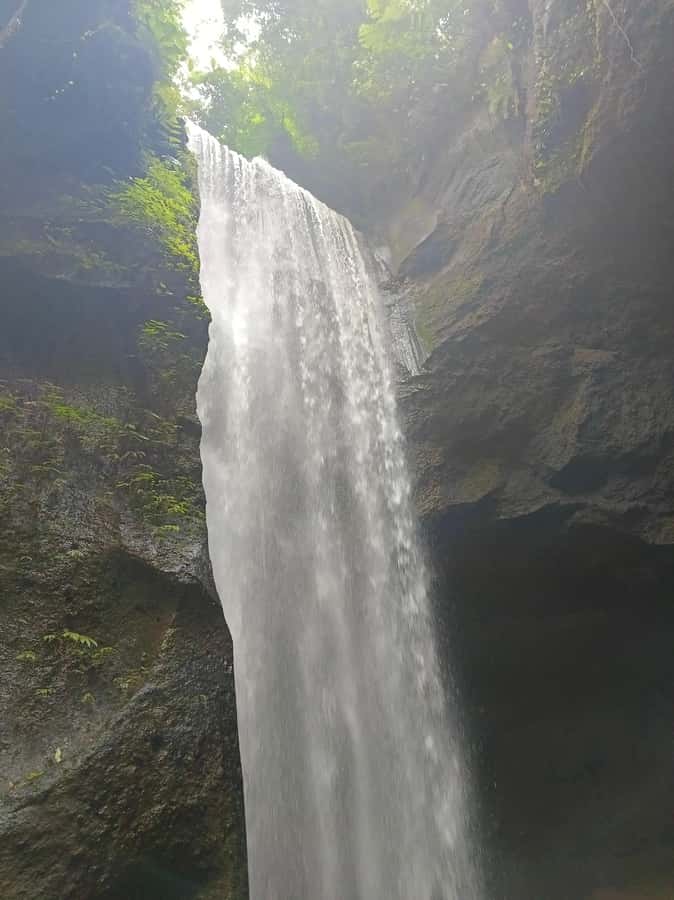 Bali : Day Trip to Besakih Temple & 2 Hidden Waterfalls - Key points to know before booking