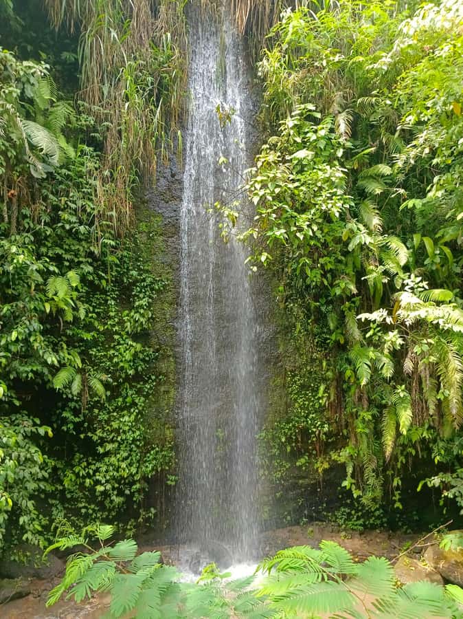 Bali : Day Trip to Besakih Temple & 2 Hidden Waterfalls - The morning drive from Ubud or south Bali