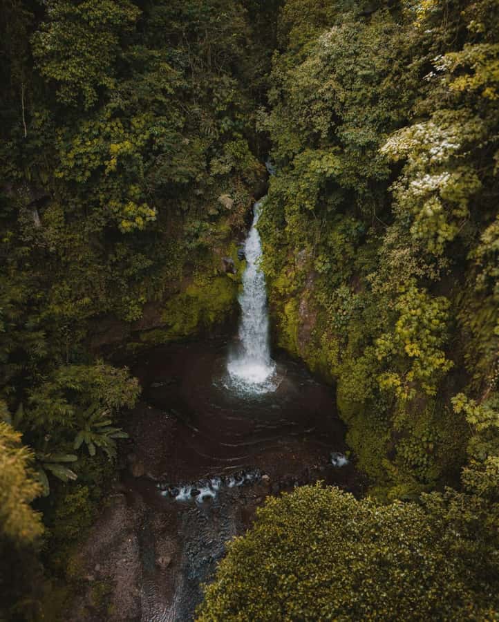 Bali: Discover Jungle Waterfalls and Rice Terraces - Why this waterfall route works