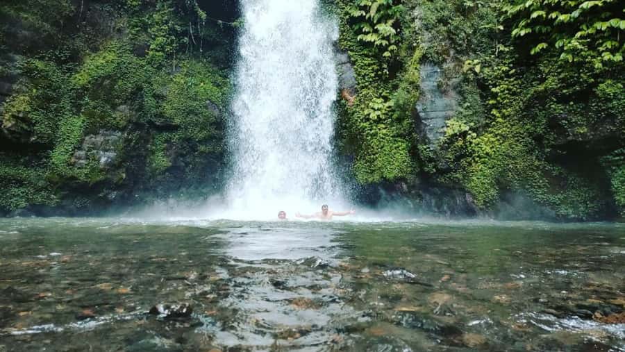 Bali: Discover Jungle Waterfalls and Rice Terraces - Who will enjoy this day most