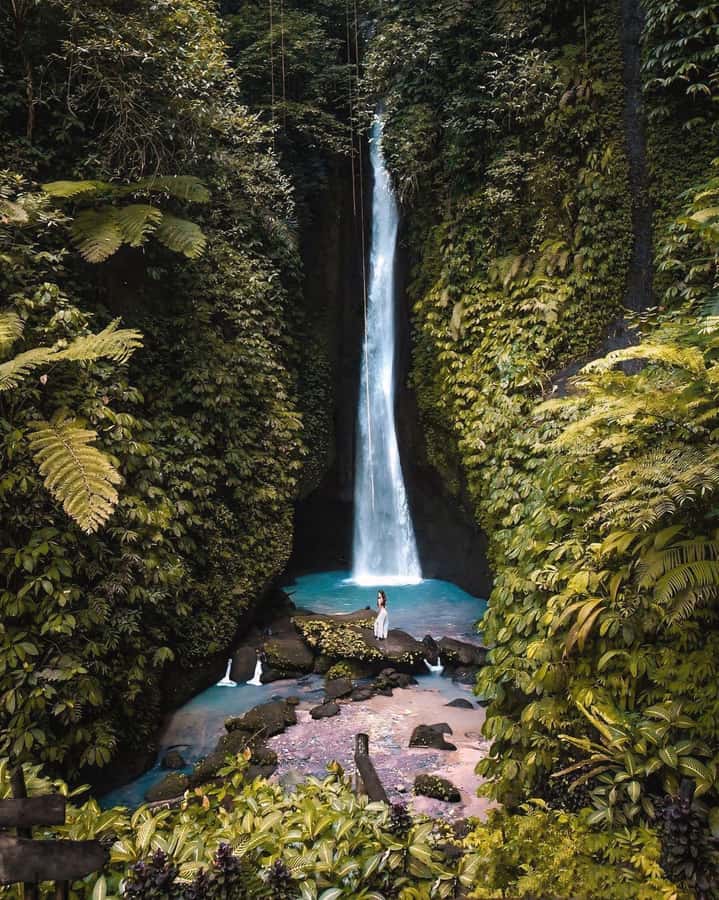 Bali: Discover Jungle Waterfalls and Rice Terraces - Leke Leke offers the cleanest photo frame