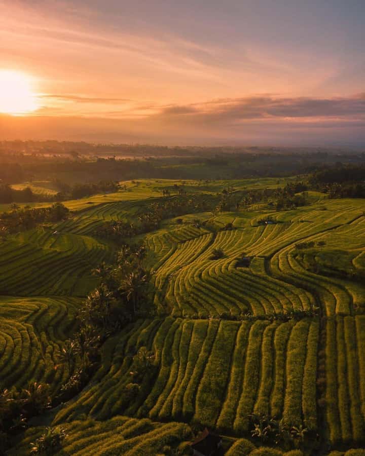 Bali: Discover Jungle Waterfalls and Rice Terraces - Jatiluwih turns scenery into culture